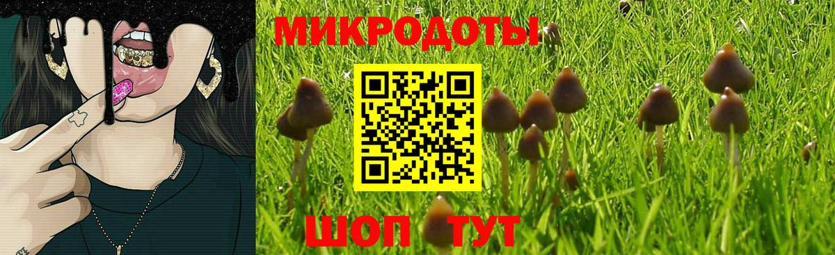 Новодвинск  Галлюциногенные грибы Magic Shrooms  Вход с VPN 