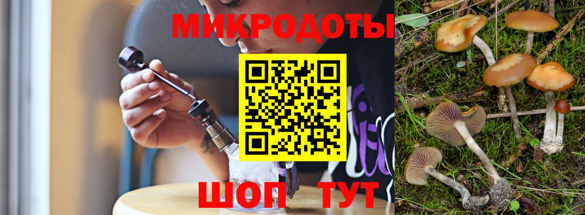 Галлюциногенные грибы Magic Shrooms Новодвинск