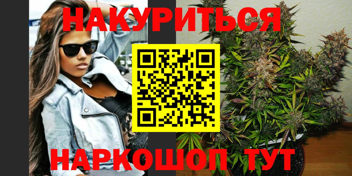 Конопля сатива Новодвинск